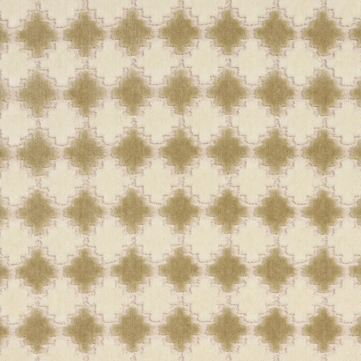 MARRAKESH VELVET_ CHAMPAGNE