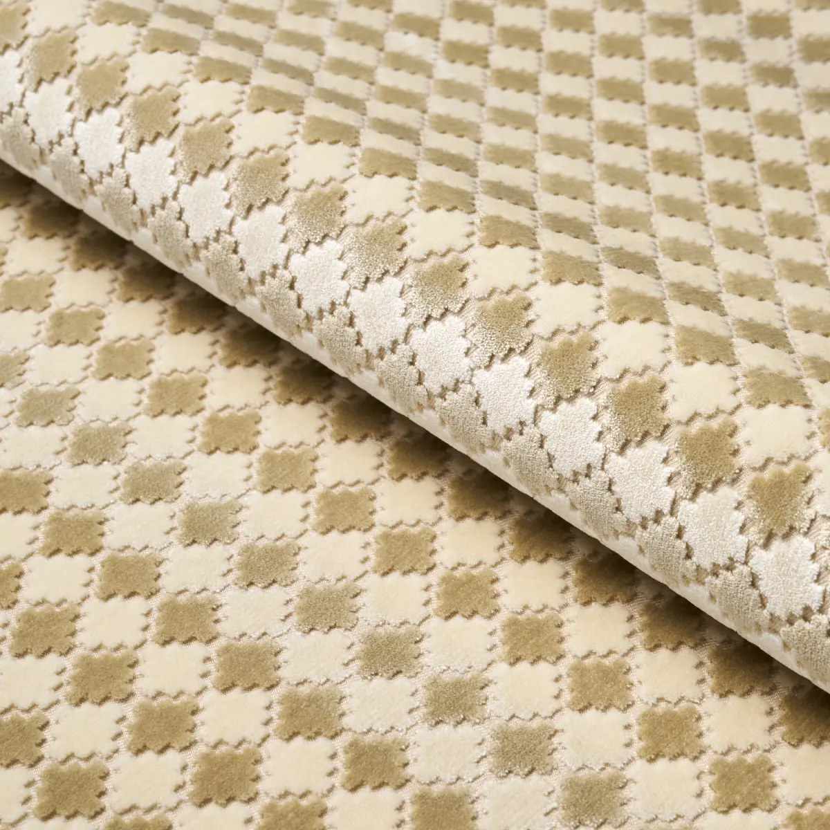 MARRAKESH VELVET_ CHAMPAGNE