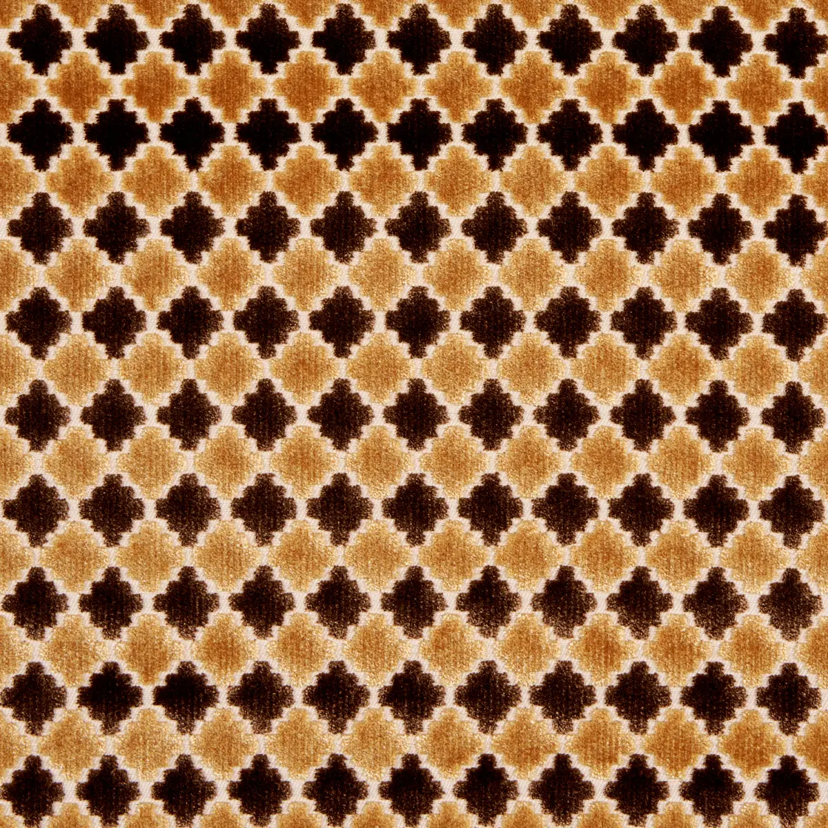 MARRAKESH VELVET_ CHOCOLATE BROWN