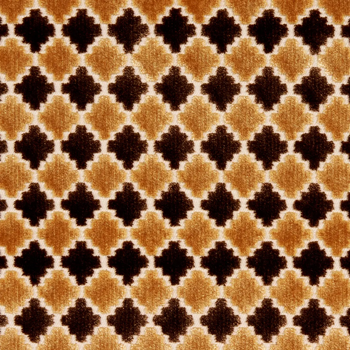 MARRAKESH VELVET_ CHOCOLATE BROWN