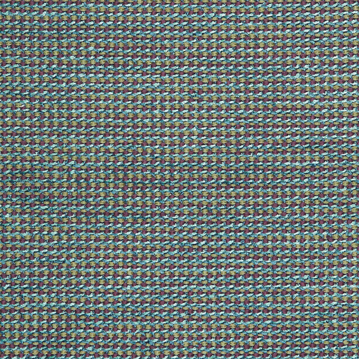 COCO WEAVE_ VENETIAN