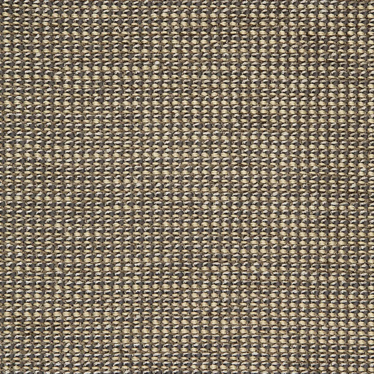 COCO WEAVE_ OXFORD