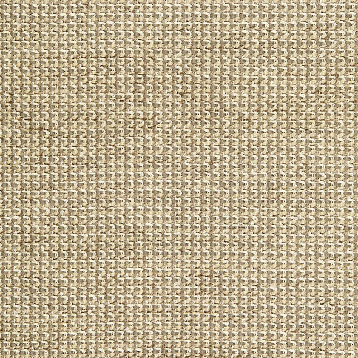 COCO WEAVE_ DORIAN GREY