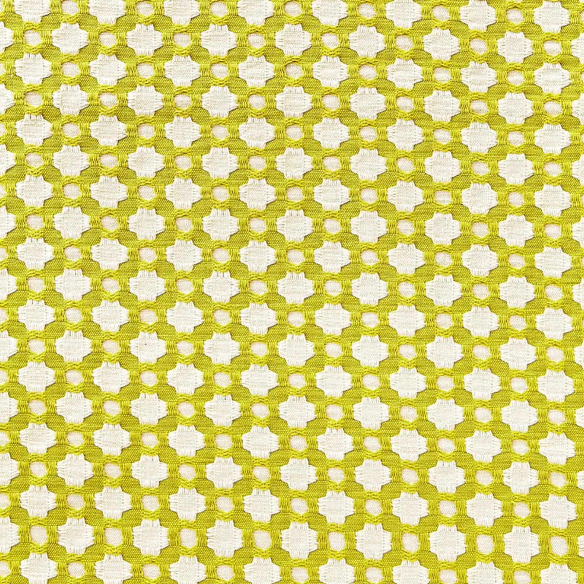 Betwixt_ CHARTREUSE / IVORY