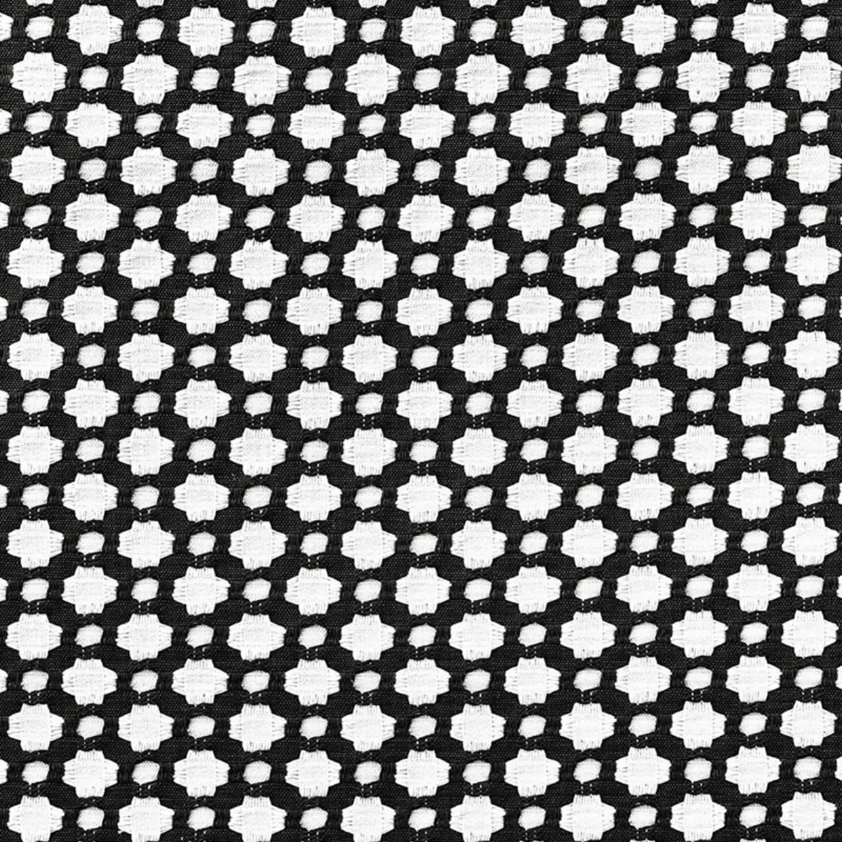 Betwixt_ BLACK / WHITE