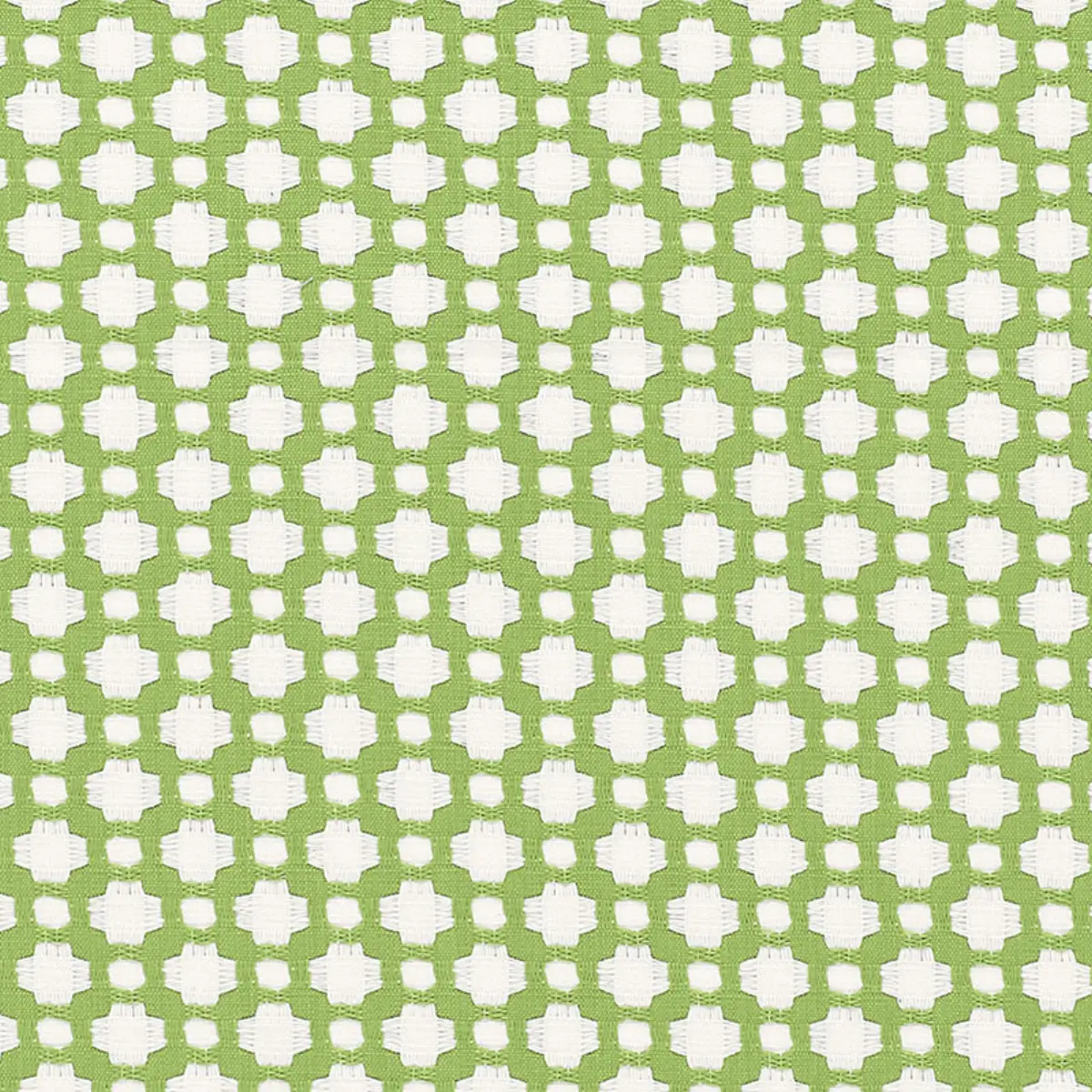 BETWIXT_ LEAF/BLANC