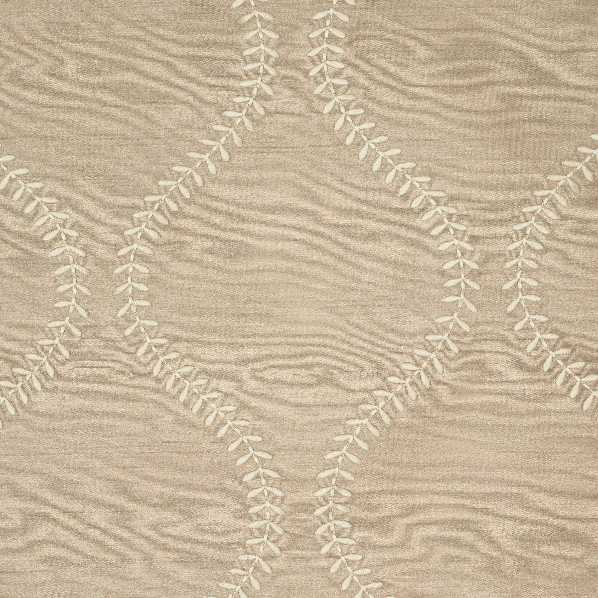 AGADIR EMBROIDERY_ CHANTERELLE