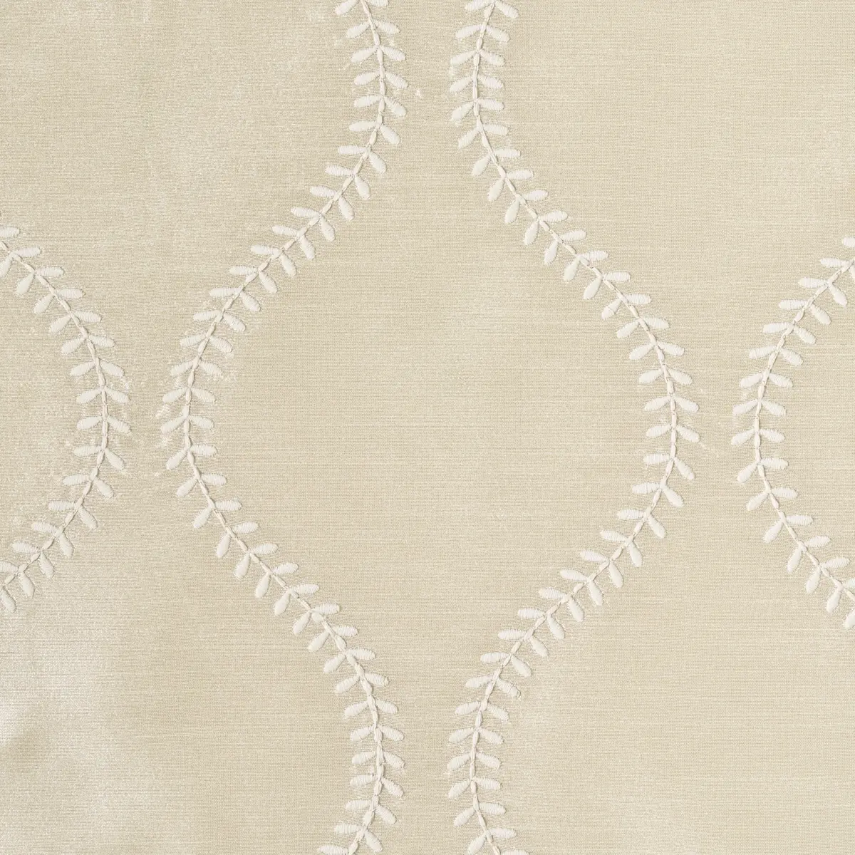 AGADIR EMBROIDERY_ CHAMPAGNE