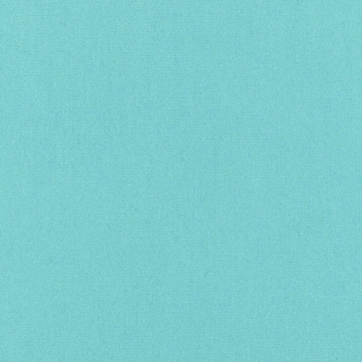 MONTE CARLO WEAVE_ POOL