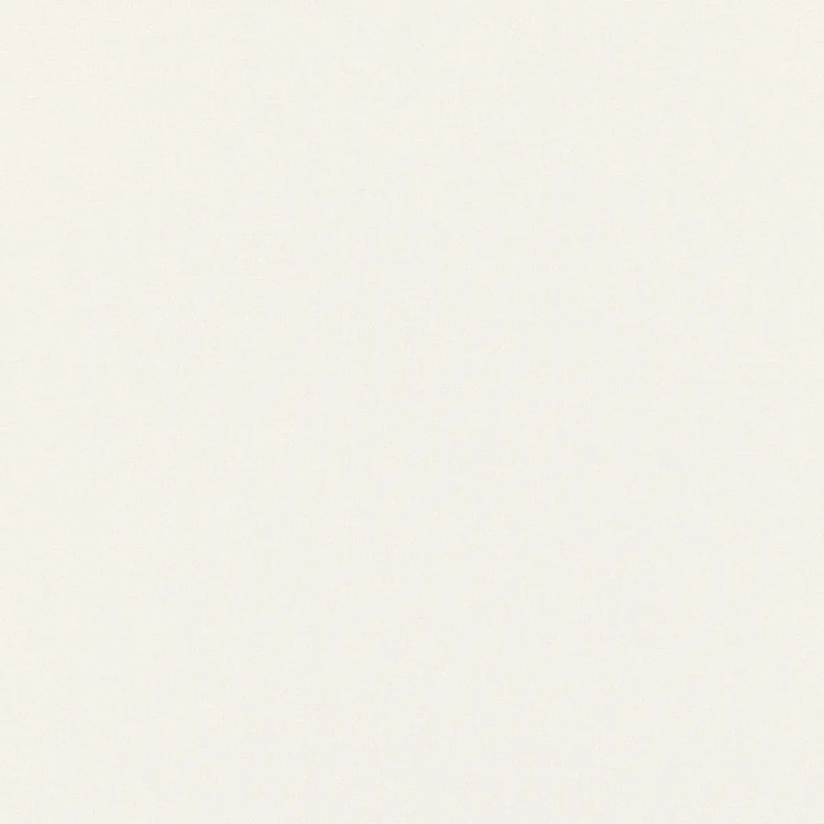MONTE CARLO WEAVE_ COCONUT