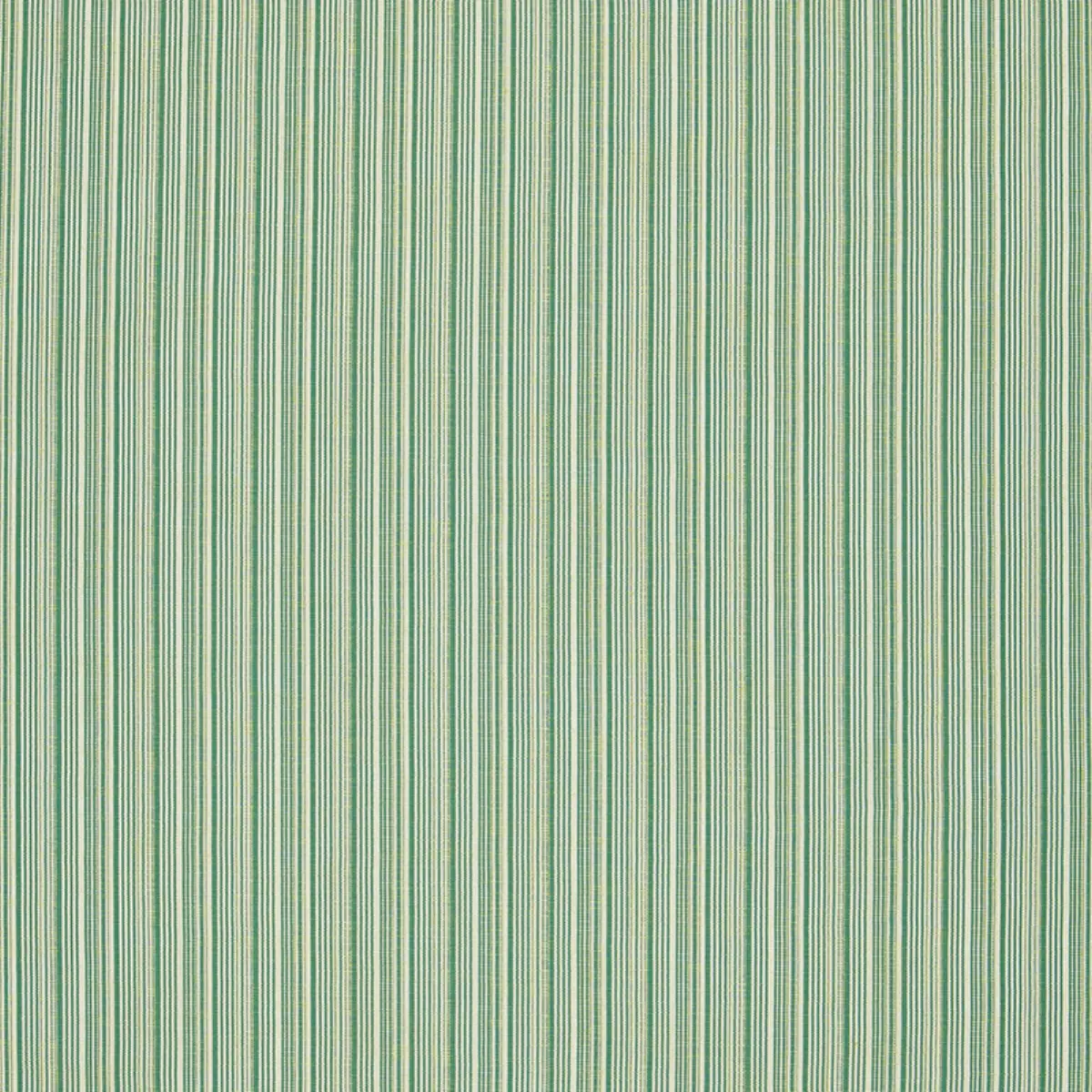 MARBELLA STRIE_ VIRIDIAN