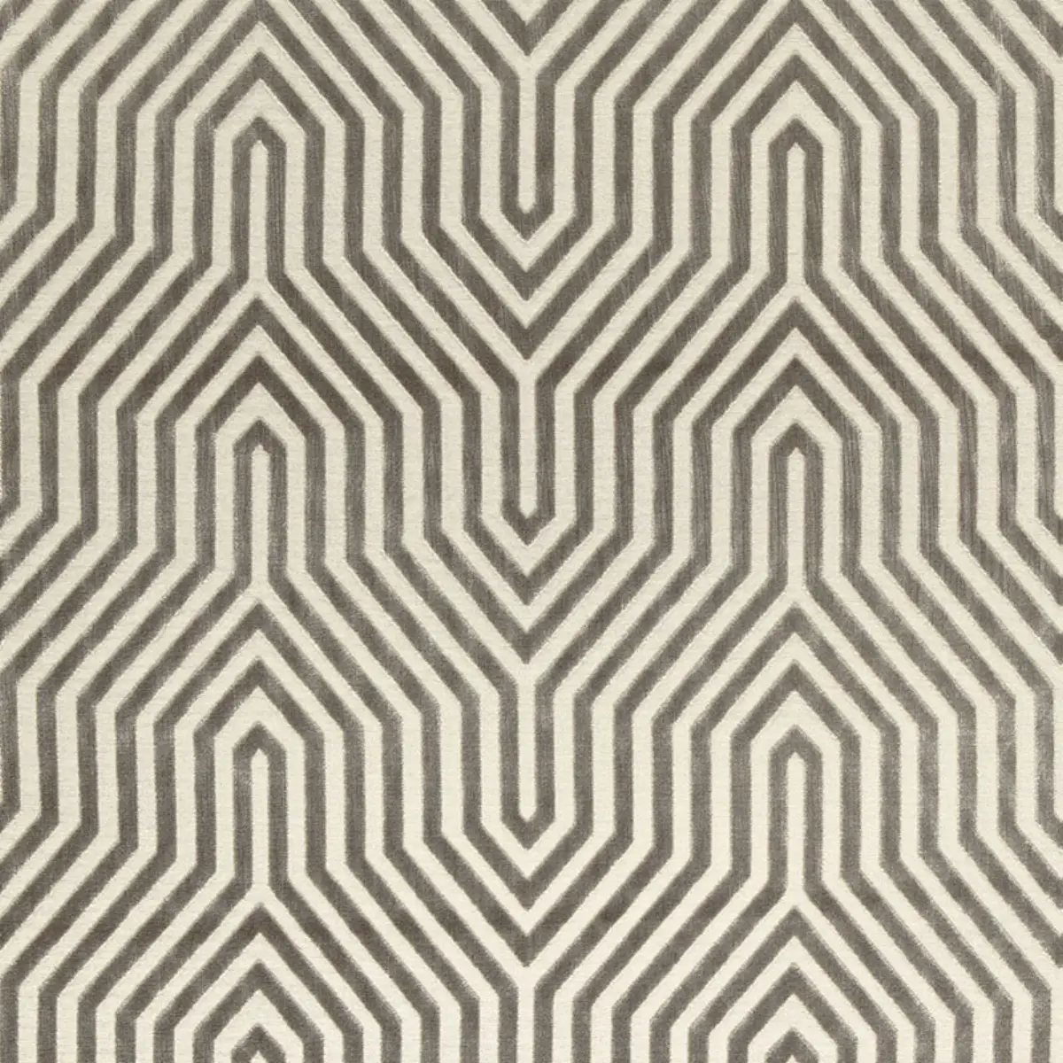 VANDERBILT VELVET_ DOVE