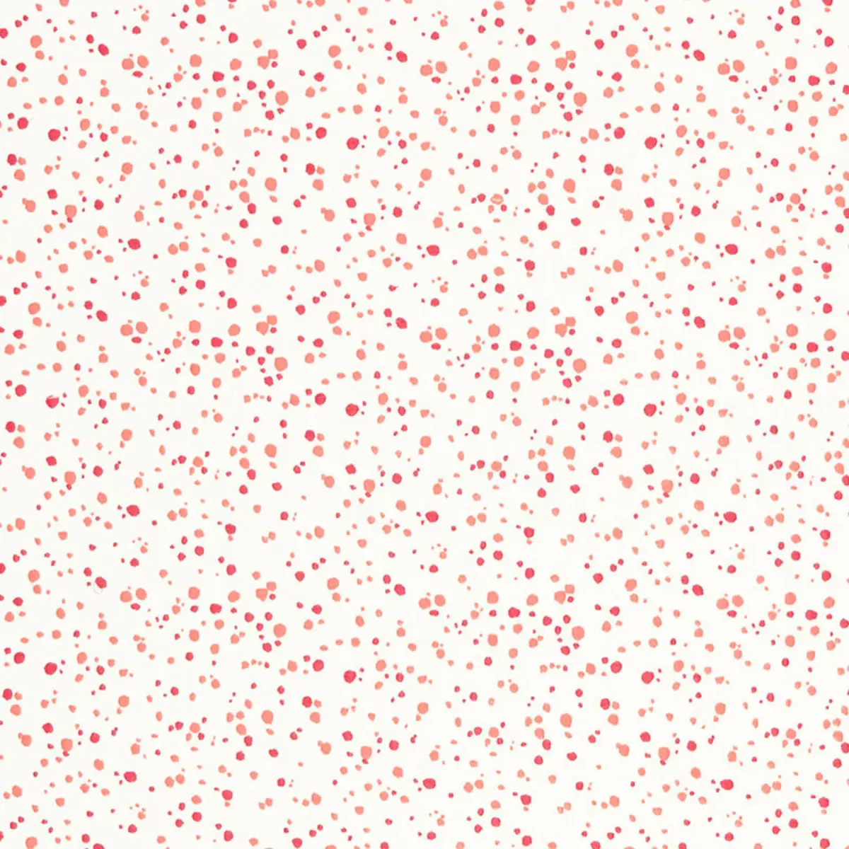 Skittles_ PUNCH / CORAL