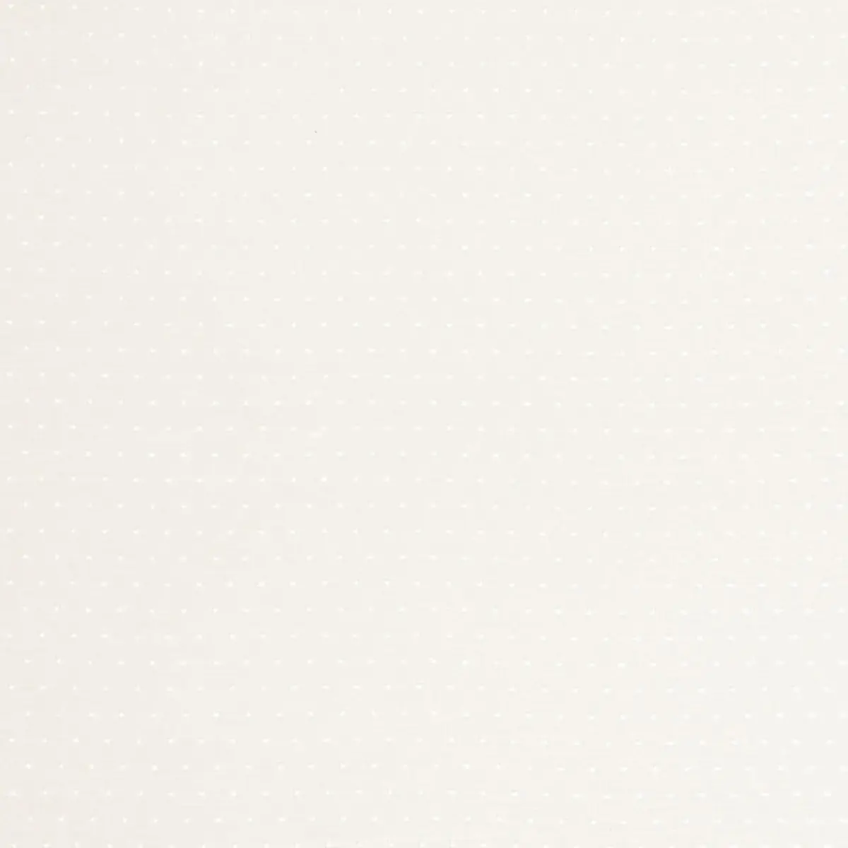 PIN DOT SHEER_ IVORY