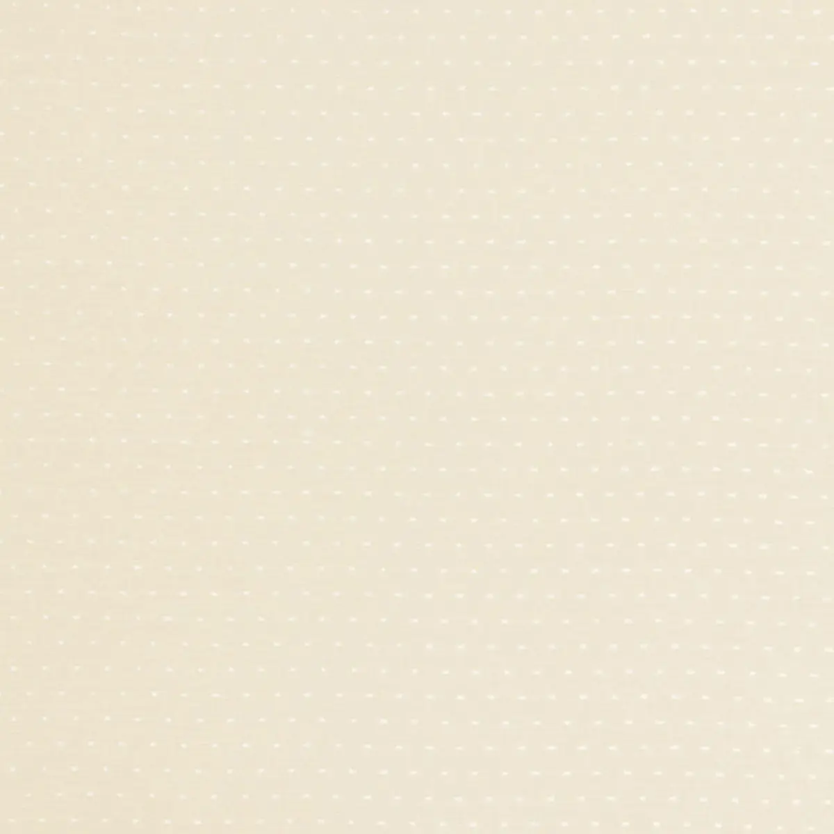 PIN DOT SHEER_ NATURAL