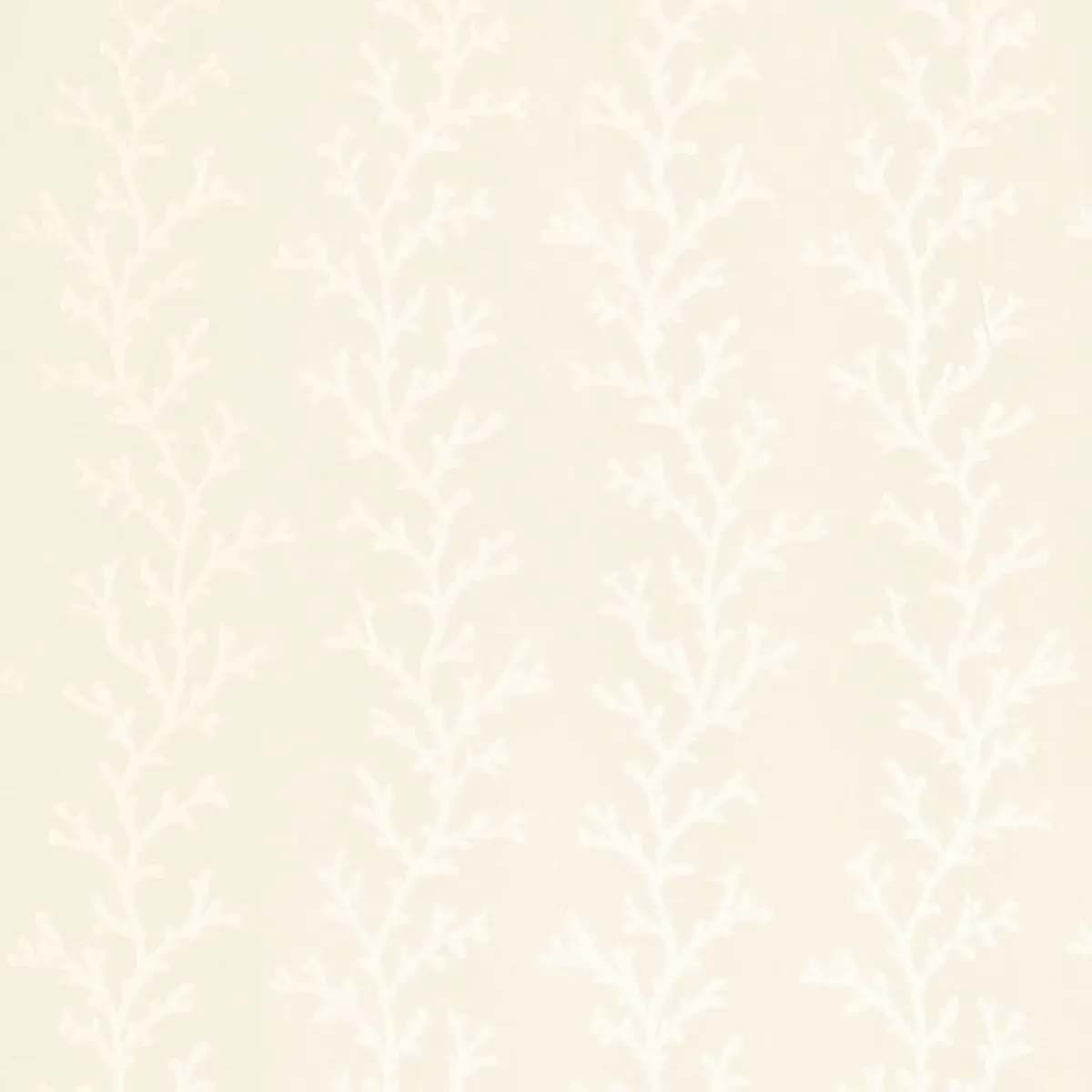 CORAL SHEER_ POLAR WHITE / ECRU
