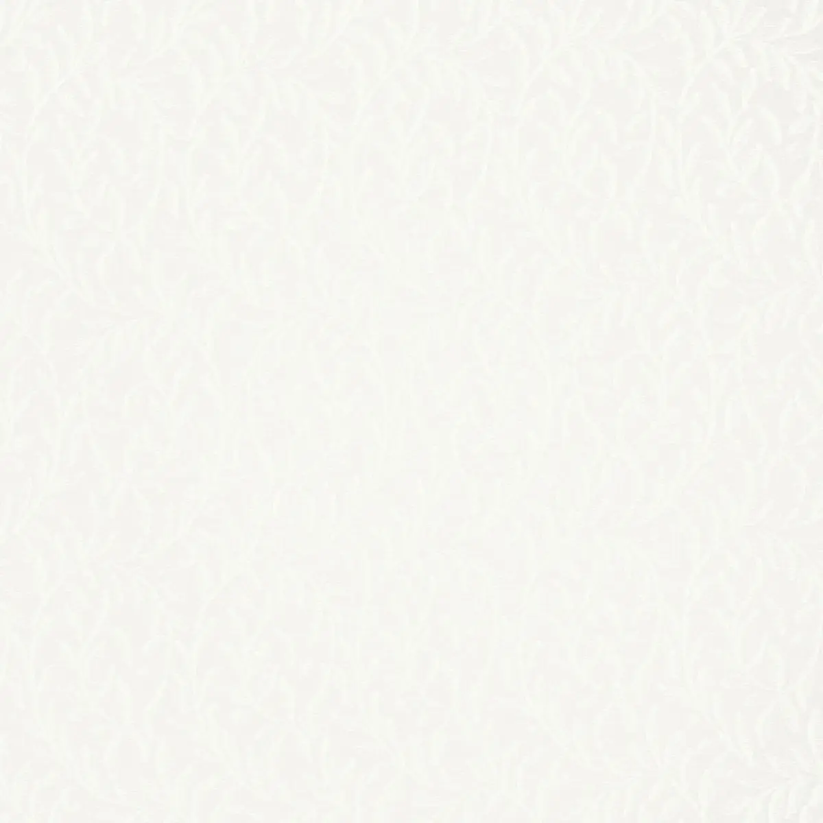 FERNWOOD SHEER_ NATUREL