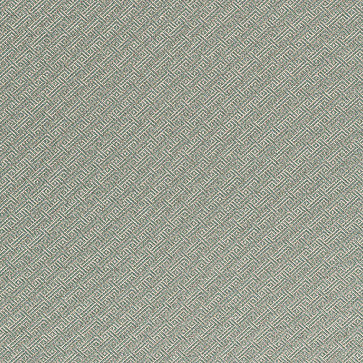 PICARD WEAVE_ AQUA