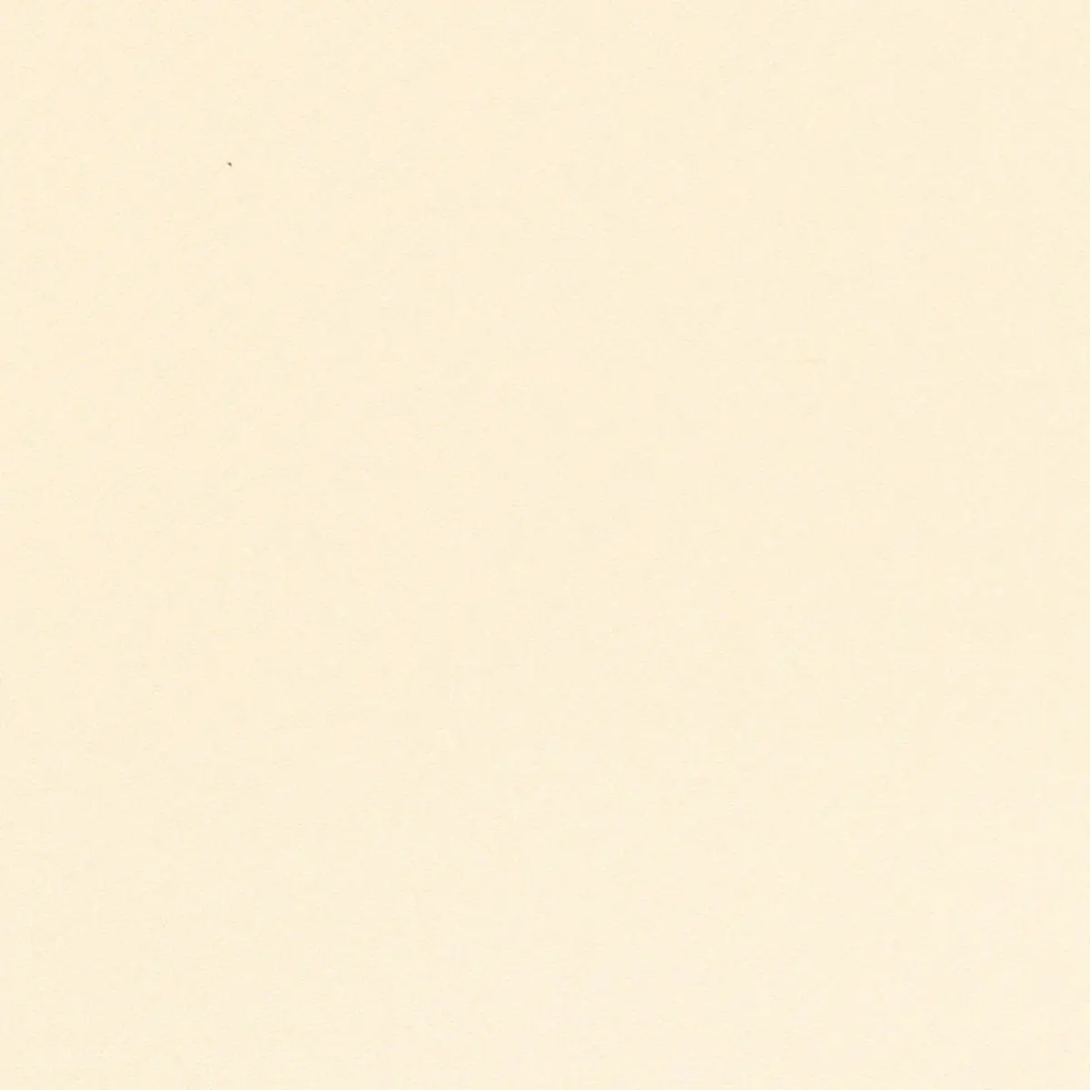 PICARD WEAVE_ IVORY