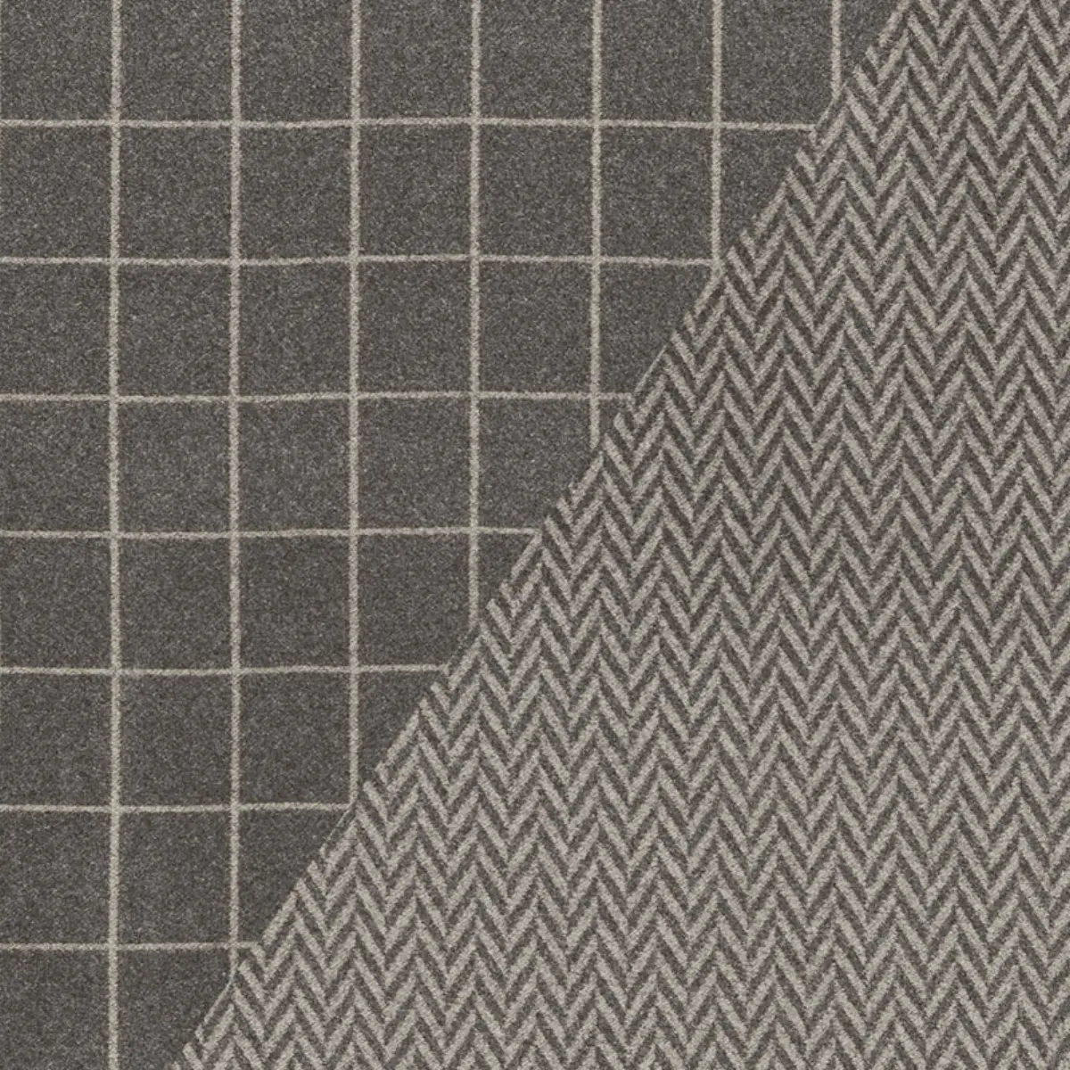 COLORADO_ CHARCOAL / NICKEL