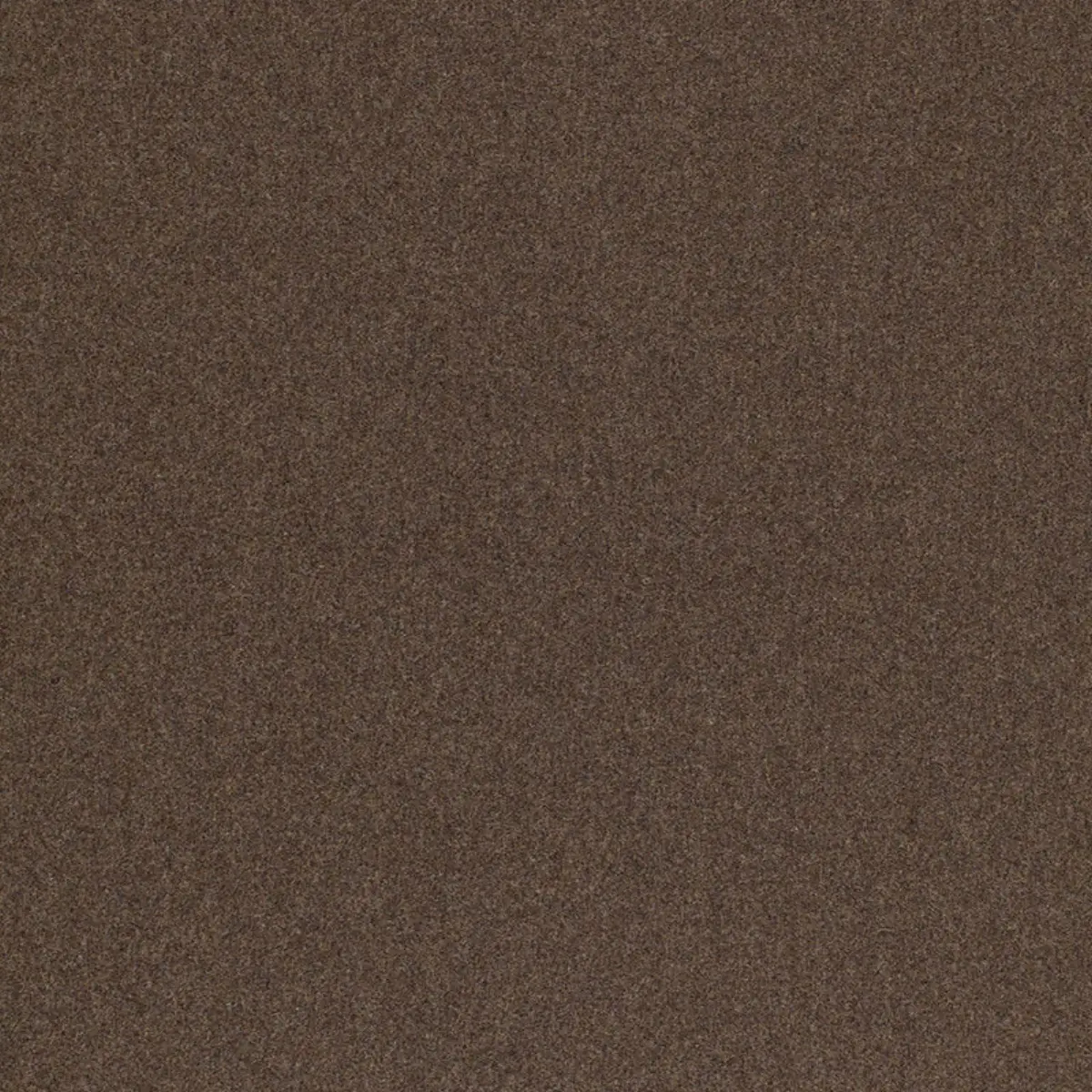 CHESTER WOOL_ MINK