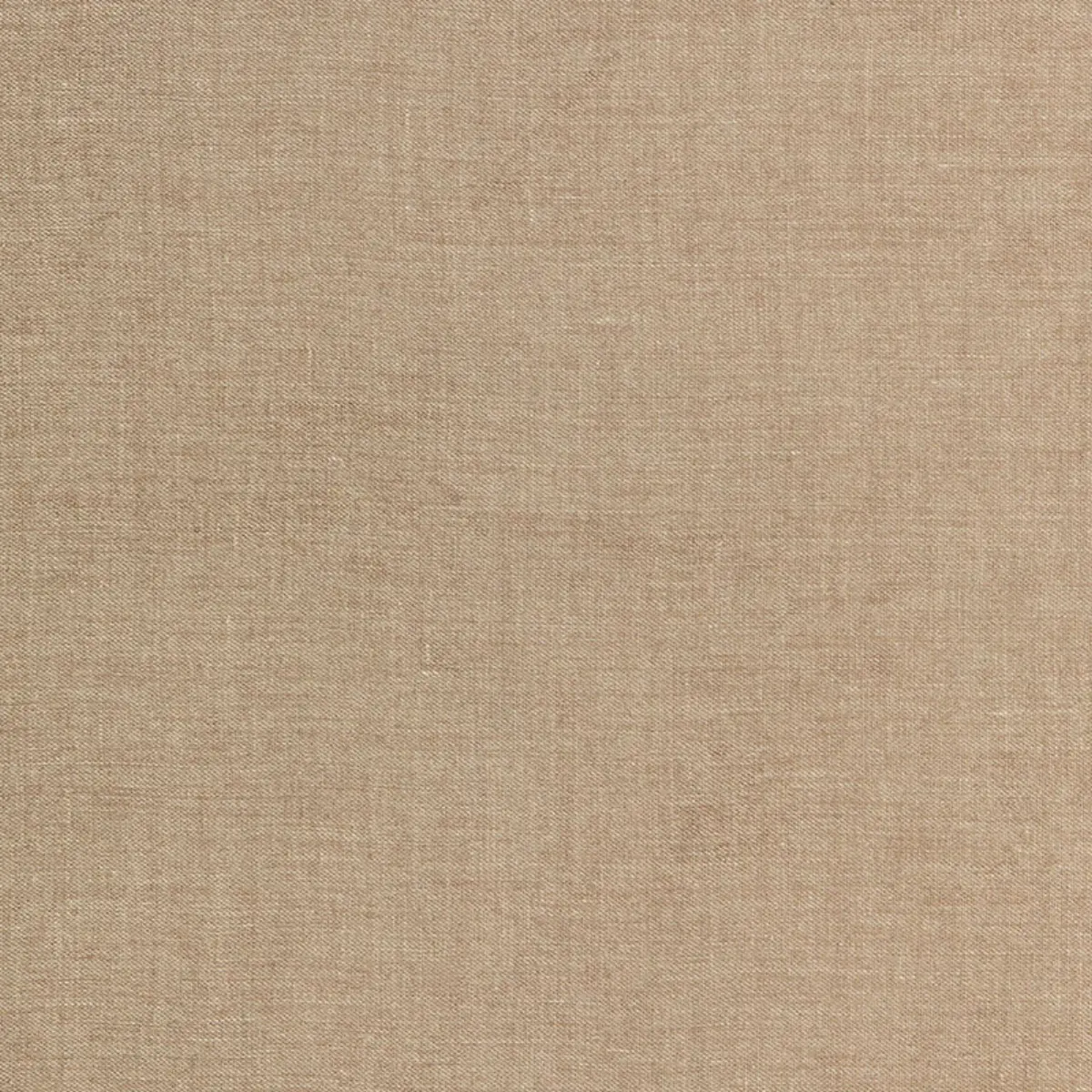 SPENCER CHENILLE_ VICUNA