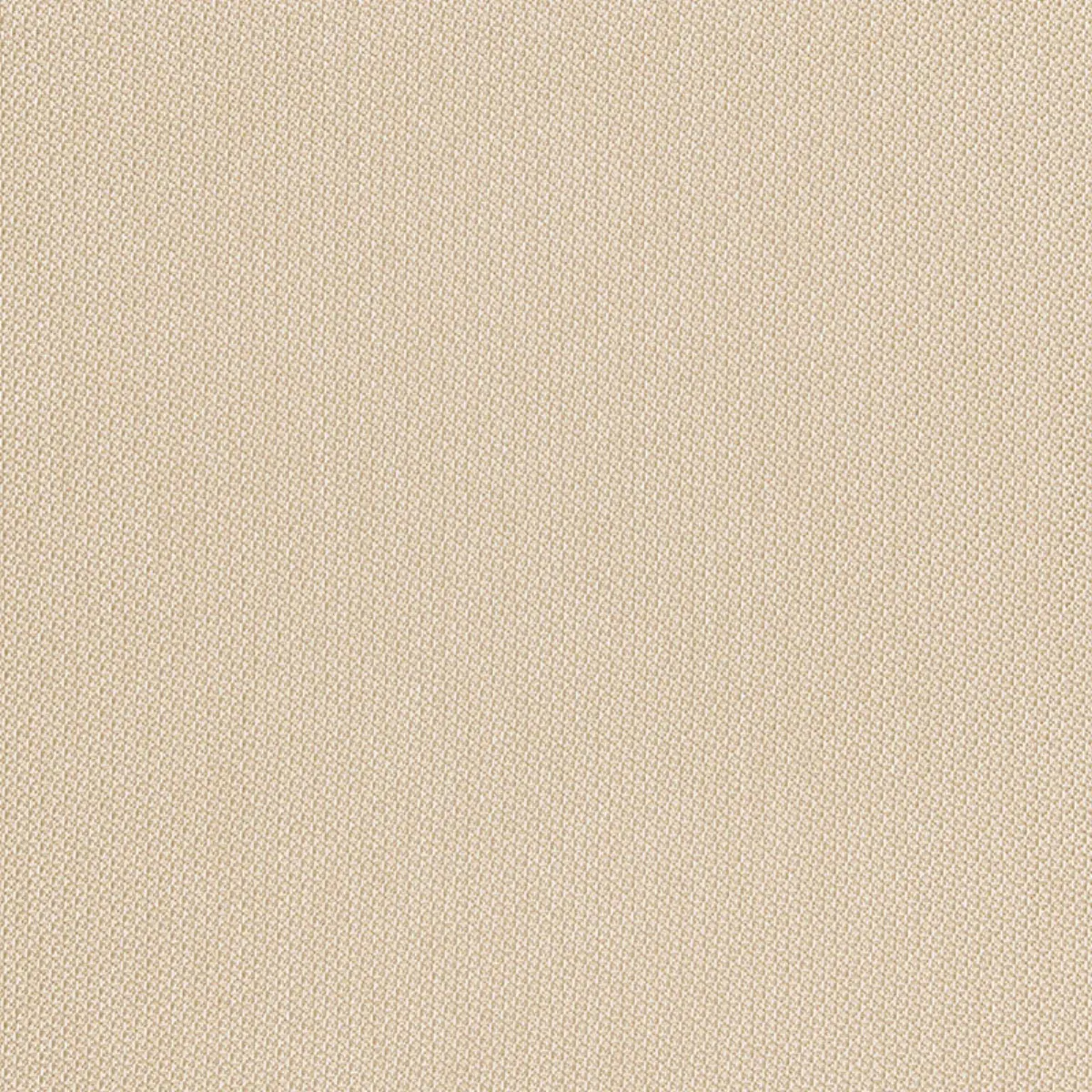 HIGHLINE_ FLAX