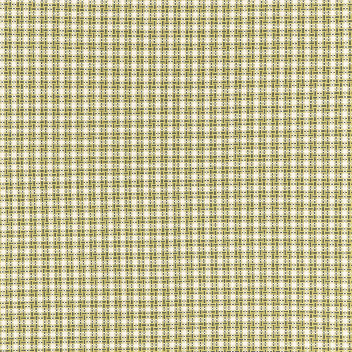 ABINGTON SQUARE_ CITRON