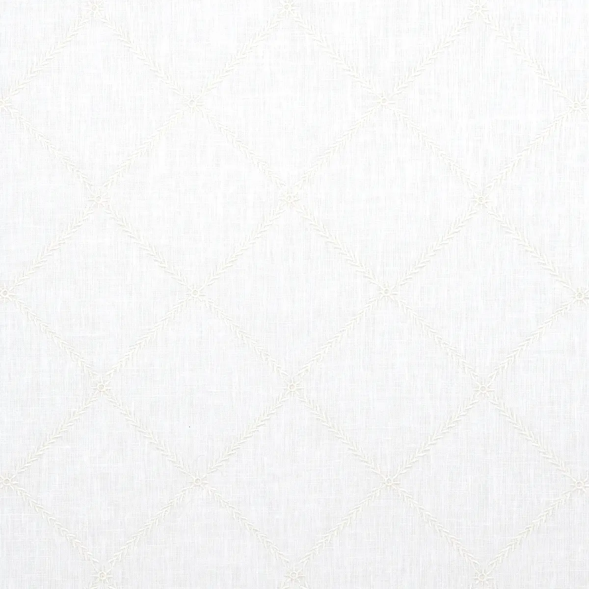 Gemma Sheer_ BLANC