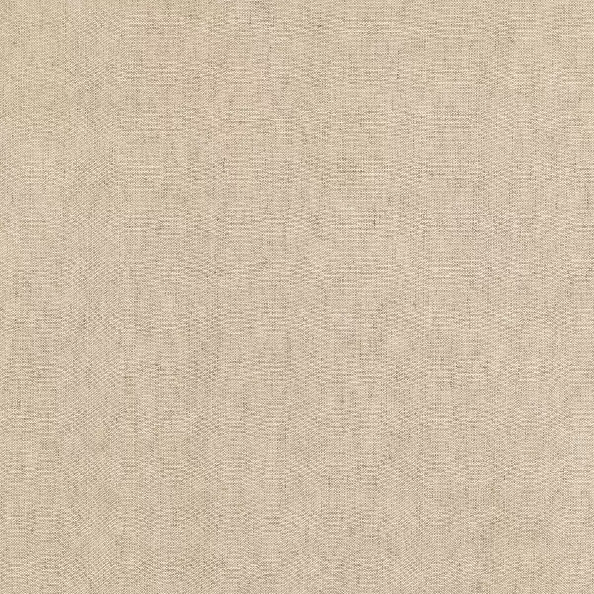 PLATEAU WEAVE SHEER_ FLAX