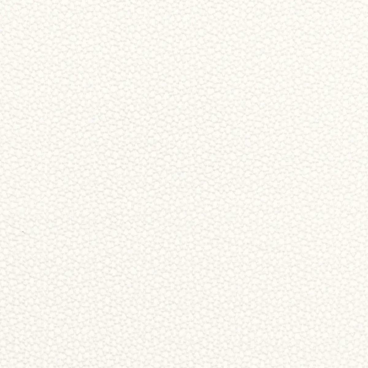 ROSSINI SHEER_ IVORY