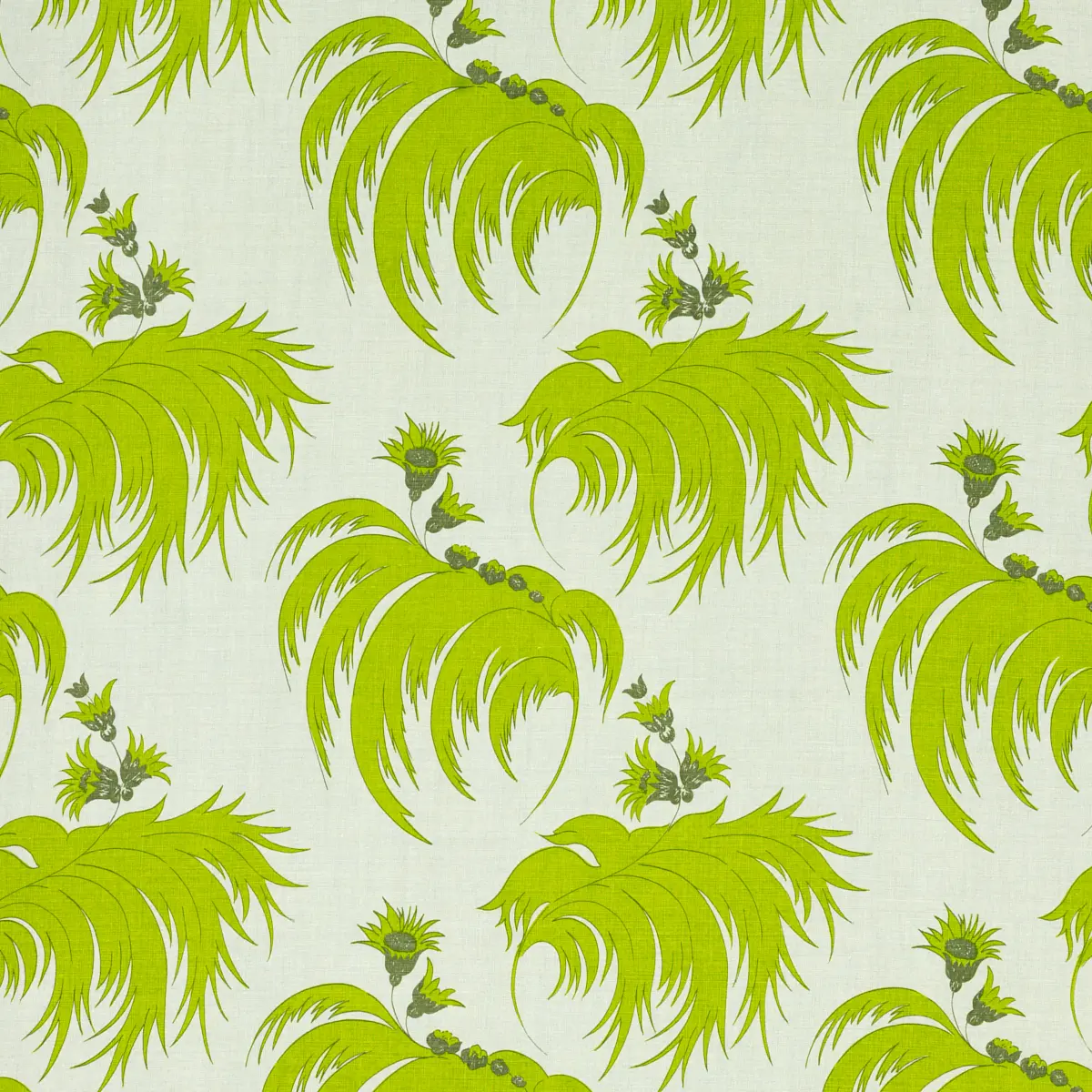 Palmetto_ PALM