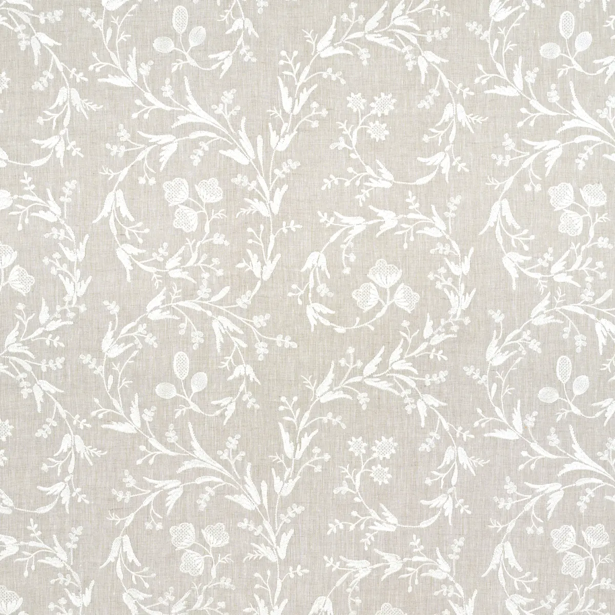 Fiorentina Embroidered Sheer_ OAT