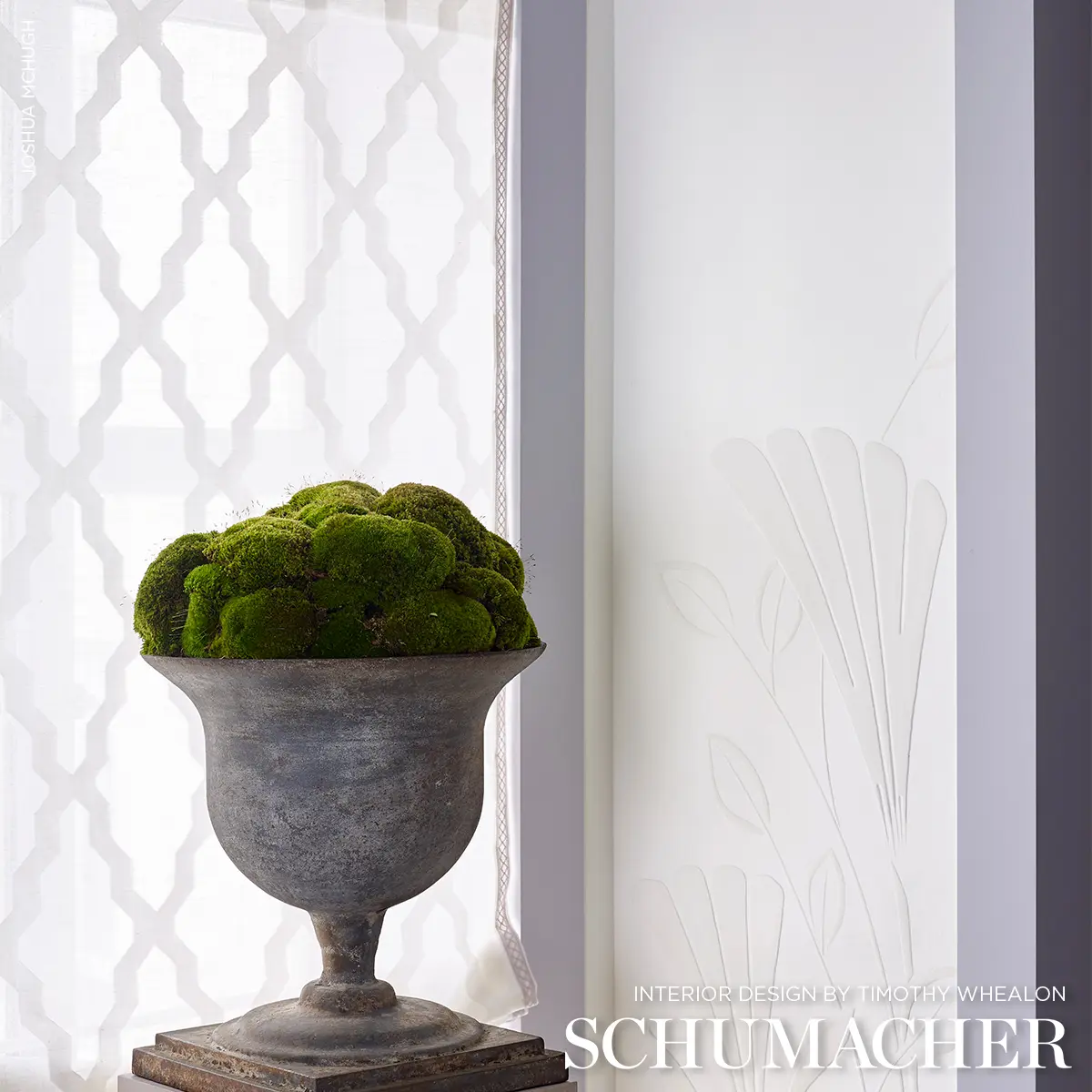 PUCCINI SHEER_ IVORY