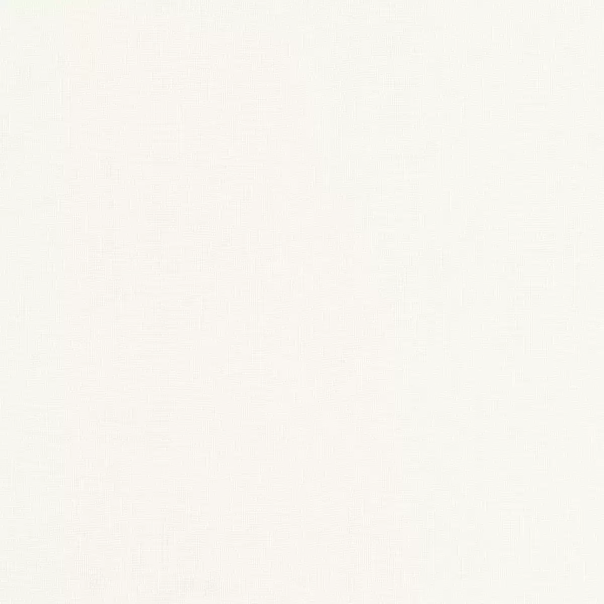 URBINO SHEER_ ECRU