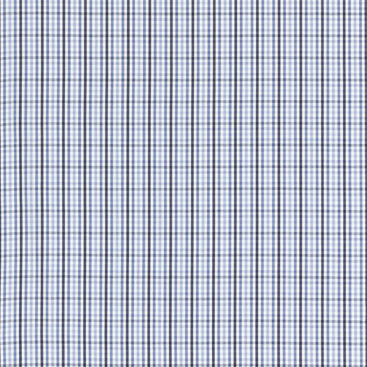 BAHAMA CHECK_ CORNFLOWER