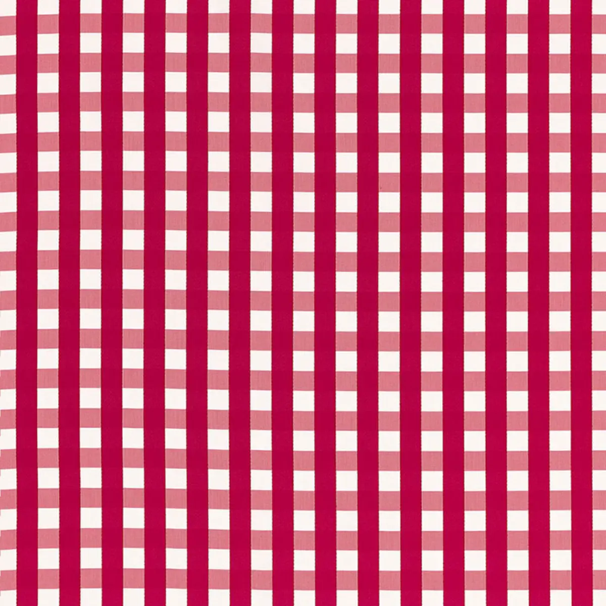 BERMUDA CHECK_ AZALEA