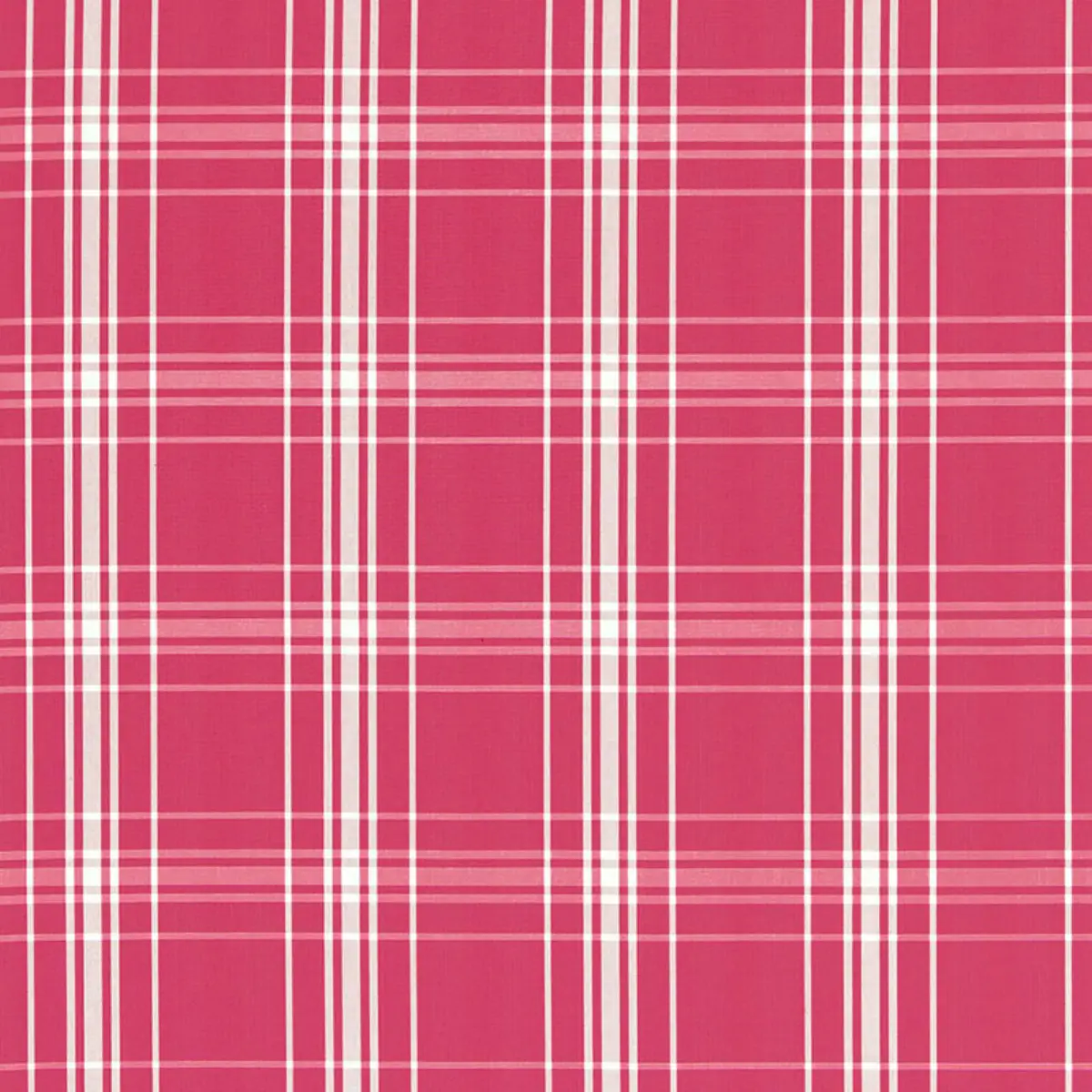 BELIZE PLAID_ AZALEA
