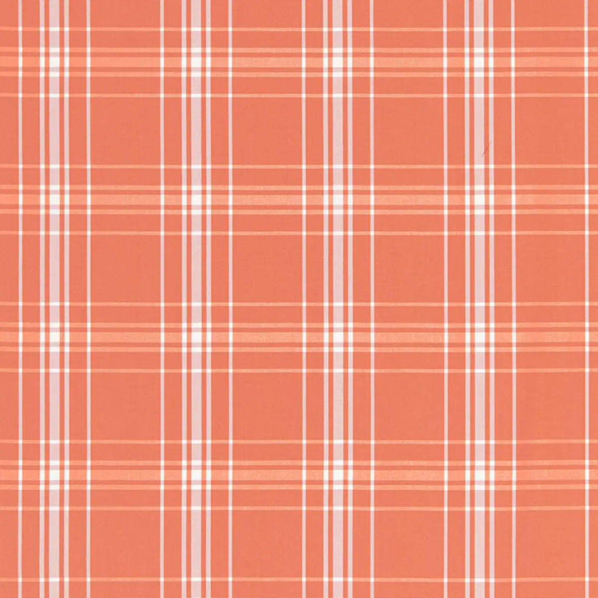 BELIZE PLAID_ ORANGE