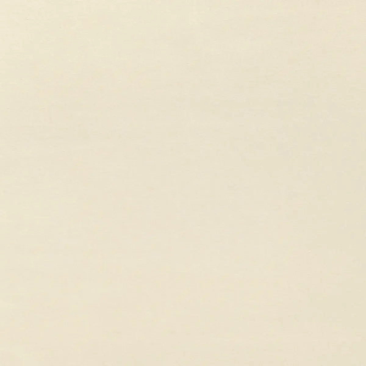 SOPHIA VELVET_ LIMESTONE
