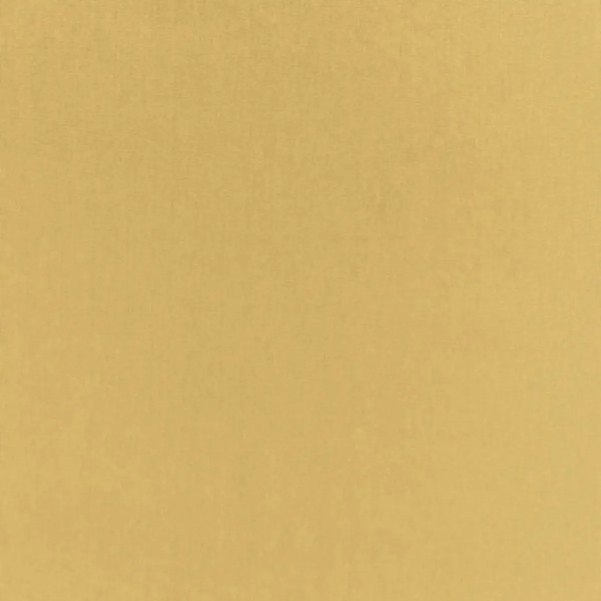 SOPHIA VELVET_ SAUTERNE
