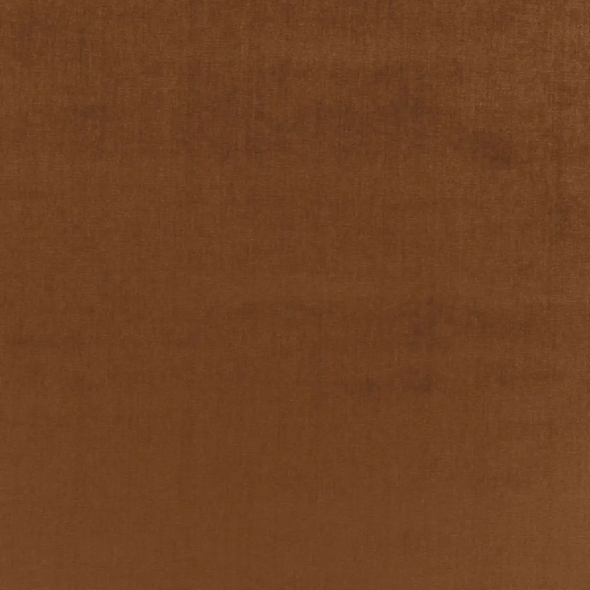 SOPHIA VELVET_ PECAN