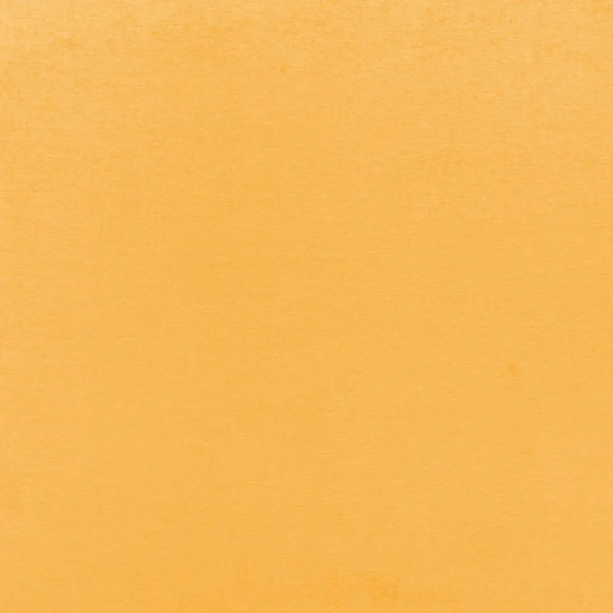 SOPHIA VELVET_ SAFFRON