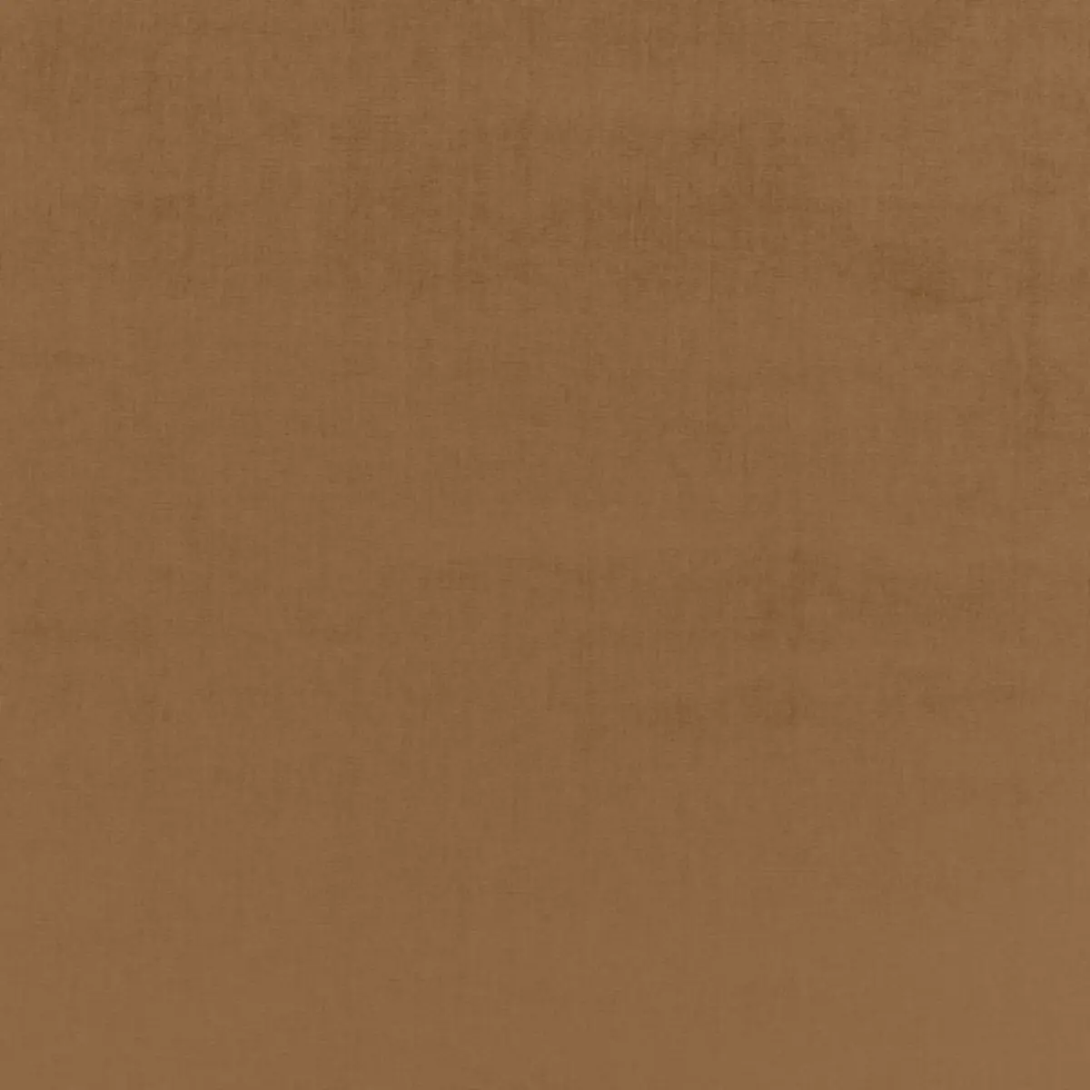 SOPHIA VELVET_ CAMEL