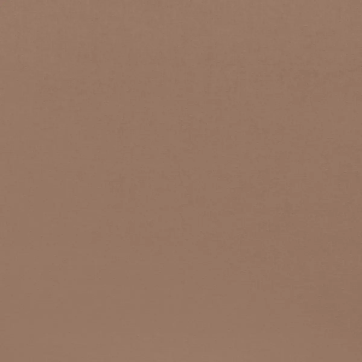 SOPHIA VELVET_ MOLESKIN