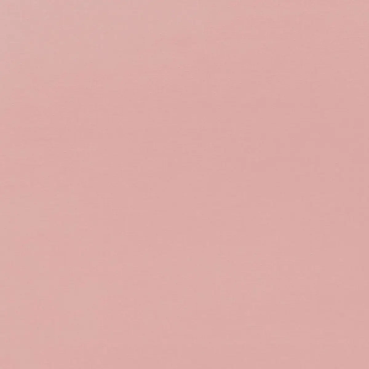 SOPHIA VELVET_ ASTOR ROSE