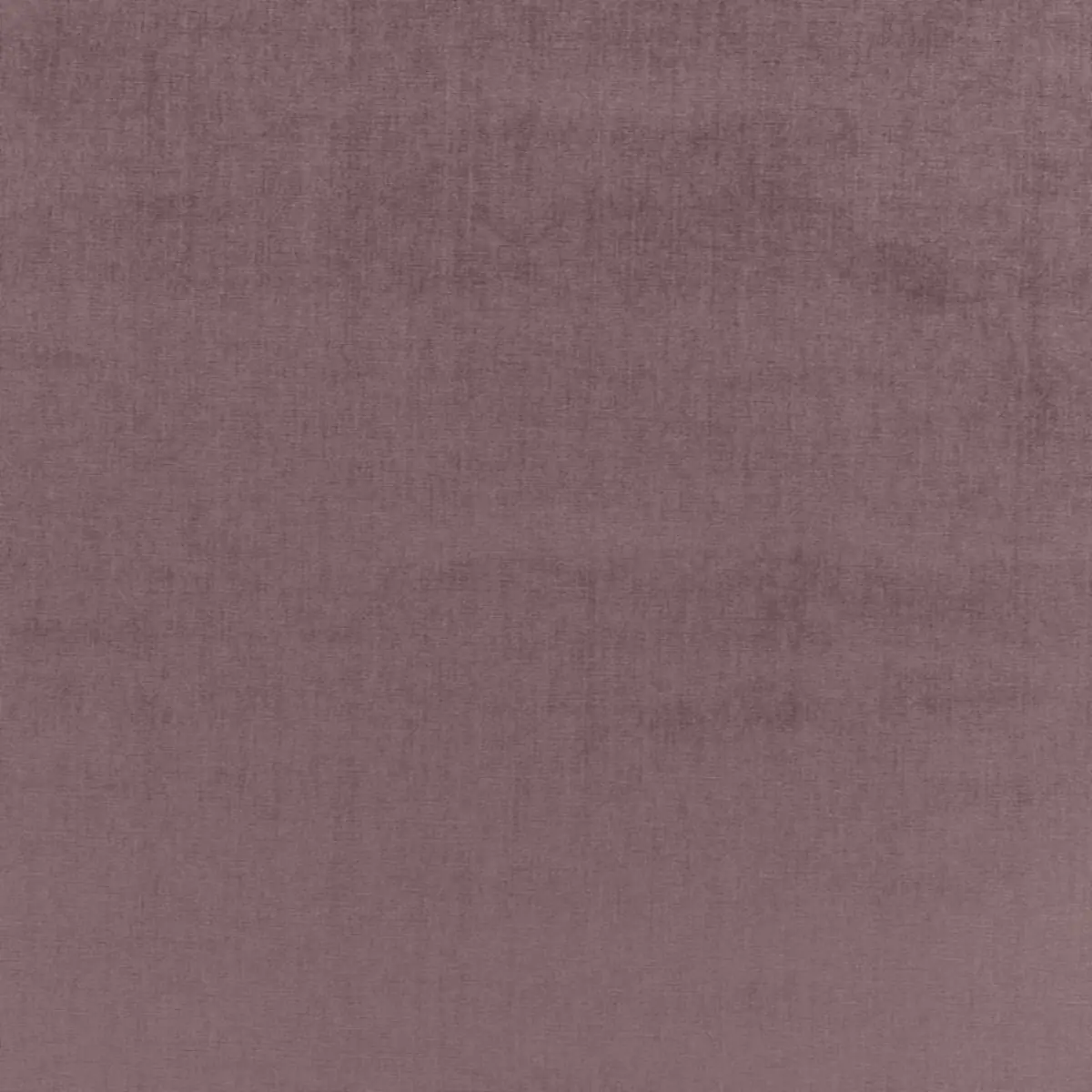 SOPHIA VELVET_ FRENCH LILAC