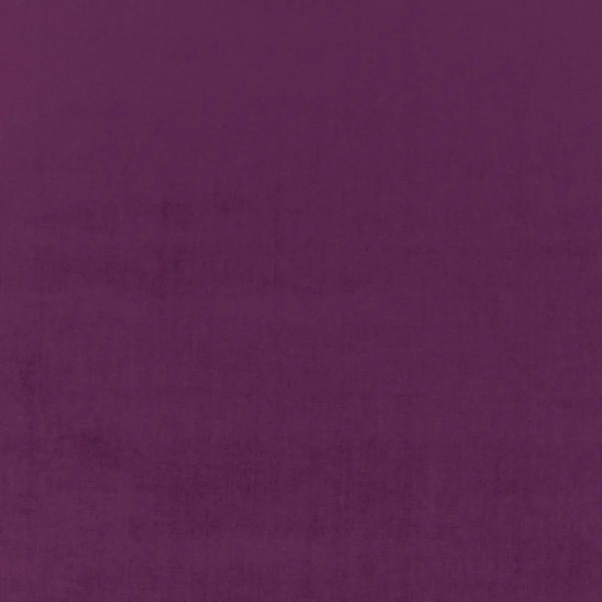 SOPHIA VELVET_ PARMA