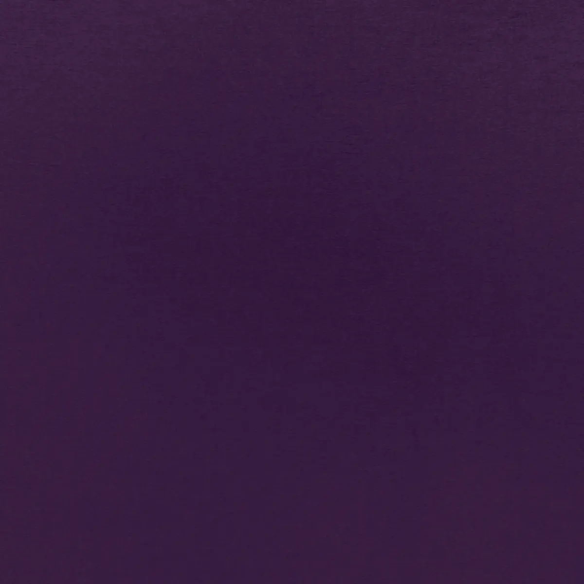 SOPHIA VELVET_ AFRICAN VIOLET