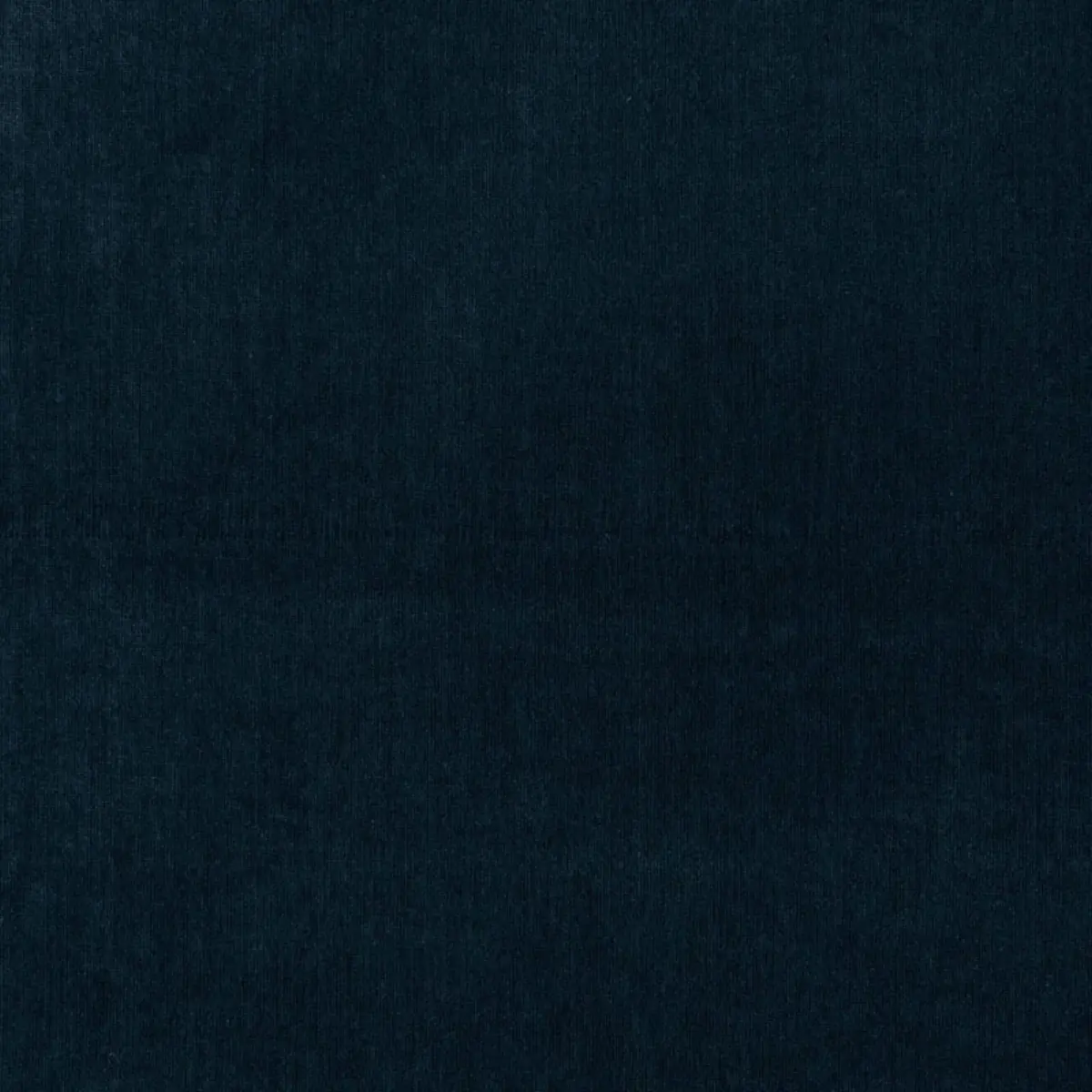 WHISTLER VELVET_ MIDNIGHT